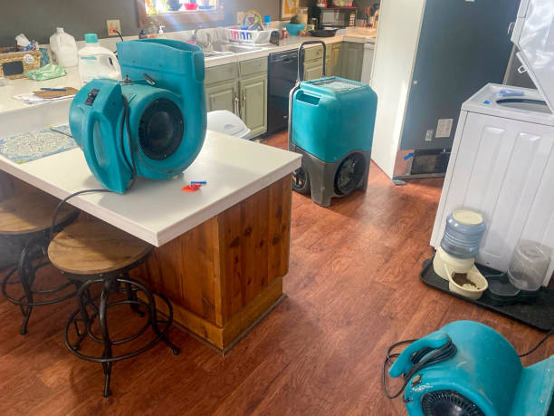 Best Basement water damage restoration  in Western Lake, TX