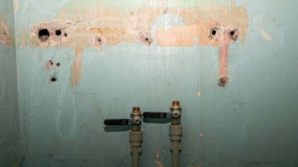 Best Ceiling water damage repair  in Western Lake, TX