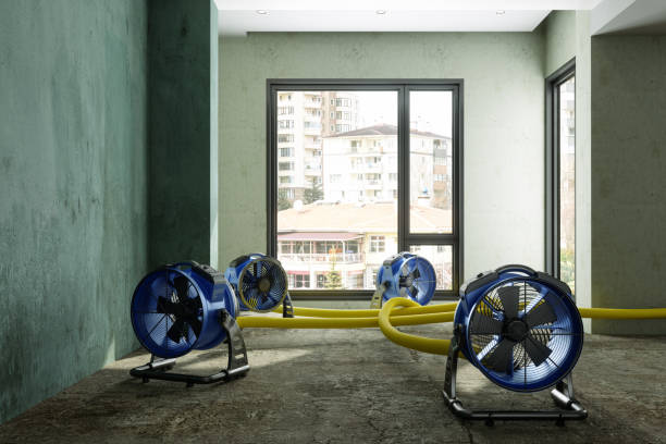 Best Water damage restoration near me  in Western Lake, TX